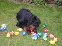 13 Wochen - OSTERN - mit Eiern